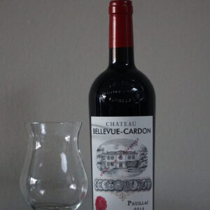 Chateau Bellevue - Cardon