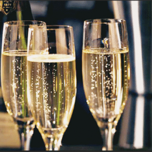 Champagne tasting 17 oktober 2025